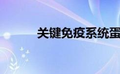 关键免疫系统蛋白的动力学揭示