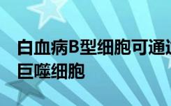 白血病B型细胞可通过表观遗传学改变转化为巨噬细胞