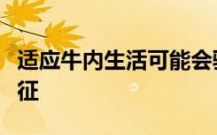 适应牛内生活可能会驱使大肠杆菌产生有害特征