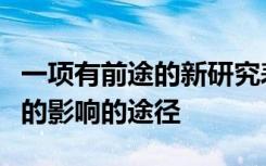 一项有前途的新研究表明减少塑料制造对环境的影响的途径