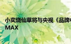 小奕烧仙草将与央视《品牌中国》达成战略合作，宣传力度MAX