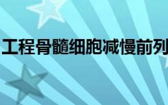 工程骨髓细胞减慢前列腺和胰腺癌细胞的生长