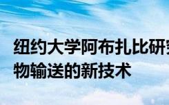 纽约大学阿布扎比研究人员设计了靶向癌症药物输送的新技术