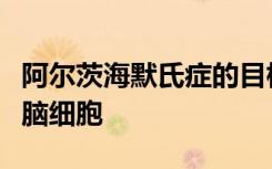 阿尔茨海默氏症的目标是帮助人们保持清醒的脑细胞