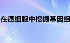 在癌细胞中挖掘基因组的最暗部分可产生黄金