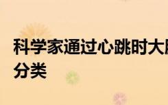 科学家通过心跳时大脑的抖动来对神经元进行分类