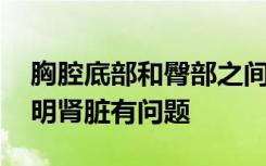 胸腔底部和臀部之间的脊柱两侧疼痛的话 表明肾脏有问题