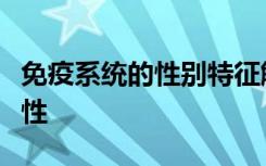 免疫系统的性别特征解释了男人对肥胖的易感性