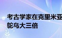 考古学家在克里米亚洞发现新鸟类的骨头 比鸵鸟大三倍