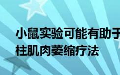 小鼠实验可能有助于促进新的FDA批准的脊柱肌肉萎缩疗法