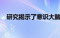 研究揭示了意识大脑动态变化的微妙舞蹈