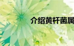 介绍黄杆菌属的特性是什么