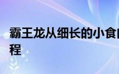 霸王龙从细长的小食肉兽变成大型食肉兽的过程