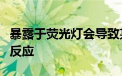 暴露于荧光灯会导致某些动物发炎并增强免疫反应