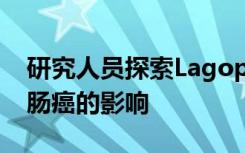 研究人员探索Lagopsis仰卧乙醇提取物对大肠癌的影响