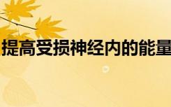 提高受损神经内的能量水平可以帮助它们治愈