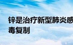 锌是治疗新型肺炎感染的有效方法 可阻止病毒复制