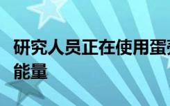 研究人员正在使用蛋壳和新型导电材料来存储能量