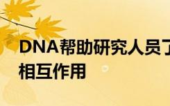 DNA帮助研究人员了解石器时代文化之间的相互作用