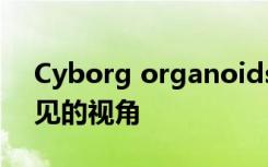 Cyborg organoids在早期发育阶段提供罕见的视角