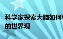 科学家探索大脑如何整合感官信息以建立我们的世界观