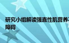 研究小组解读强直性肌营养不良症如何导致致命的心脏功能障碍