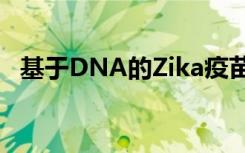 基于DNA的Zika疫苗可防止脑损伤和死亡