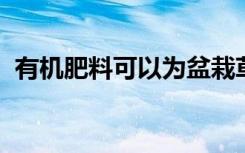 有机肥料可以为盆栽草药提供足够的营养吗