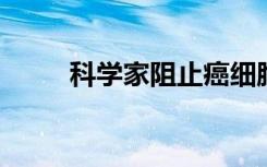 科学家阻止癌细胞迁移以破坏它们