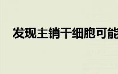 发现主销干细胞可能有助于了解癌症肿瘤