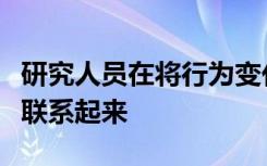 研究人员在将行为变化与大脑回路的潜在发展联系起来