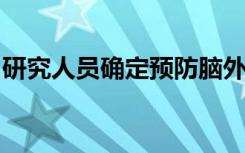 研究人员确定预防脑外伤长期影响的潜在目标