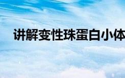 讲解变性珠蛋白小体检查的原理与参考值