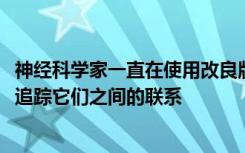 神经科学家一直在使用改良版的狂犬​​病毒来标记神经元并追踪它们之间的联系