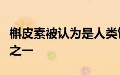 槲皮素被认为是人类饮食中最丰富的抗氧化剂之一