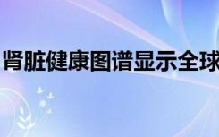 肾脏健康图谱显示全球疾病负担和获取不公平