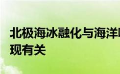 北极海冰融化与海洋哺乳动物中致命病毒的出现有关