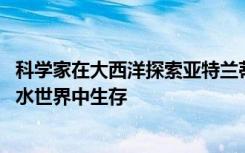 科学家在大西洋探索亚特兰蒂斯地块 以了解生物如何在外星水世界中生存