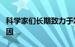 科学家们长期致力于发现这些神经元死亡的原因