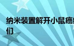 纳米装置解开小鼠癌细胞并向免疫系统揭示它们