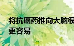 将抗癌药推向大脑很困难 但新见识可能使它更容易