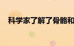 科学家了解了骨骼和大脑之间的迷人互动