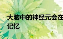 大脑中的神经元会在深度睡眠时激活 以创造记忆