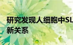 研究发现人细胞中SLC与细胞毒性药物之间的新关系