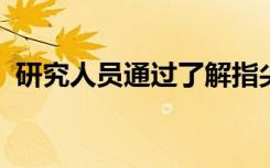 研究人员通过了解指尖感觉器官来对抗疼痛