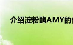 介绍淀粉酶AMY的作用和参考值是什么