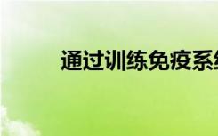 通过训练免疫系统治疗1型糖尿病