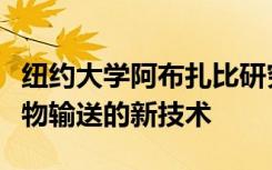 纽约大学阿布扎比研究人员设计了靶向癌症药物输送的新技术