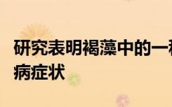 研究表明褐藻中的一种化合物有助于控制糖尿病症状