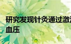 研究发现针灸通过激活天然阿片类药物降低高血压